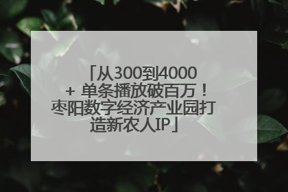 从300到4000+ 单条播放破百万！枣阳数字经济产业园打造新农人IP