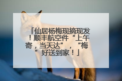 仙居杨梅现摘现发！顺丰航空件“上午寄，当天达”，“梅”好送到家！