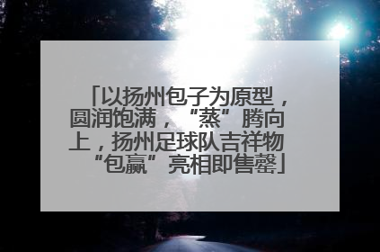 以扬州包子为原型，圆润饱满，“蒸”腾向上，扬州足球队吉祥物“包赢”亮相即售罄
