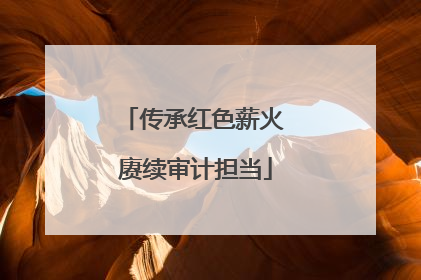 传承红色薪火 赓续审计担当