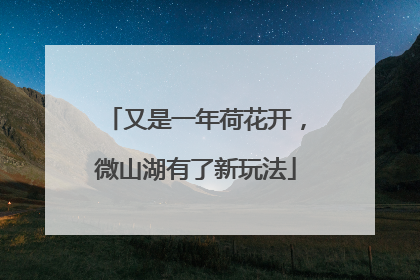 又是一年荷花开，微山湖有了新玩法