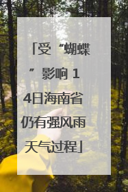 受“蝴蝶”影响 14日海南省仍有强风雨天气过程