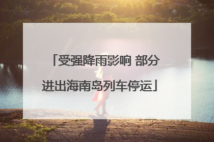 受强降雨影响 部分进出海南岛列车停运