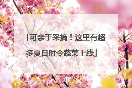 可亲手采摘！这里有超多夏日时令蔬菜上线
