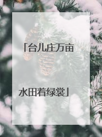 台儿庄万亩水田着绿裳