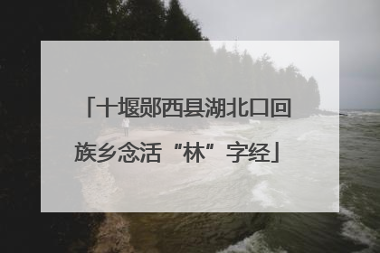 十堰郧西县湖北口回族乡念活“林”字经