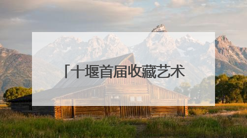 十堰首届收藏艺术品交流会开启，专家现场“掌眼”