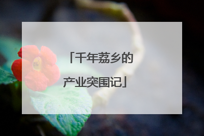 千年荔乡的产业突围记
