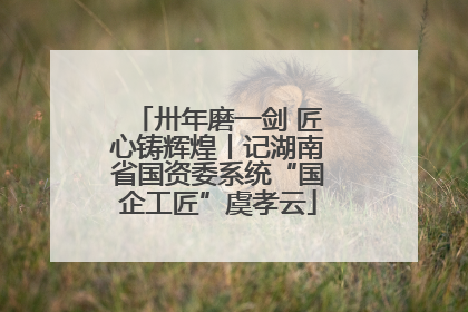 卅年磨一剑 匠心铸辉煌丨记湖南省国资委系统“国企工匠”虞孝云