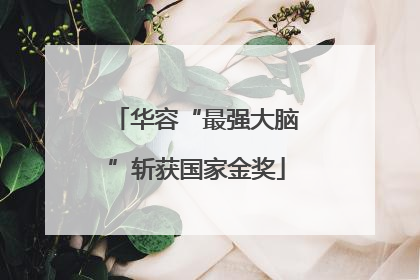 华容“最强大脑”斩获国家金奖