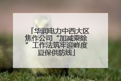 华润电力中西大区焦作公司“加减乘除”工作法筑牢迎峰度夏保供防线