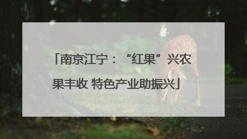 南京江宁：“红果”兴农果丰收 特色产业助振兴