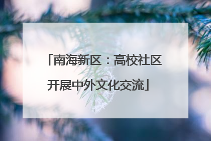南海新区：高校社区开展中外文化交流