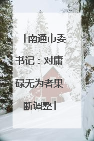 南通市委书记：对庸碌无为者果断调整