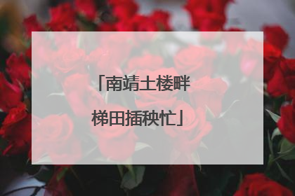 南靖土楼畔 梯田插秧忙