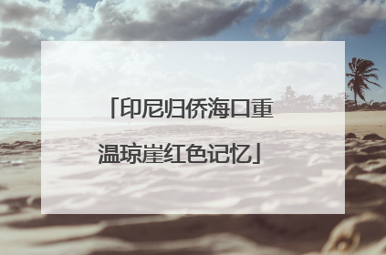印尼归侨海口重温琼崖红色记忆