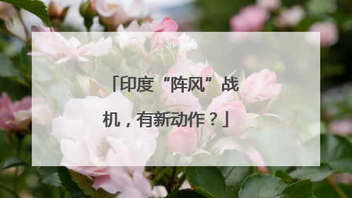 印度“阵风”战机，有新动作？