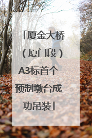 厦金大桥（厦门段）A3标首个预制墩台成功吊装