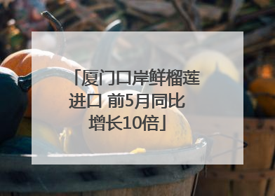 厦门口岸鲜榴莲进口 前5月同比增长10倍
