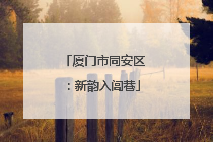 厦门市同安区：新韵入闾巷