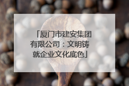厦门市建安集团有限公司：文明铸就企业文化底色