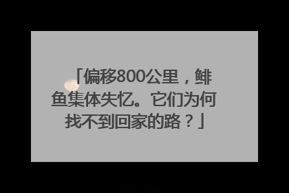偏移800公里，鲱鱼集体失忆。它们为何找不到回家的路？