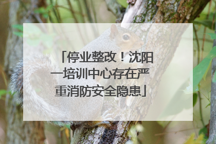 停业整改！沈阳一培训中心存在严重消防安全隐患