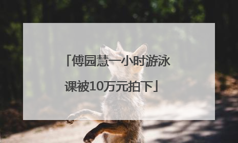 傅园慧一小时游泳课被10万元拍下