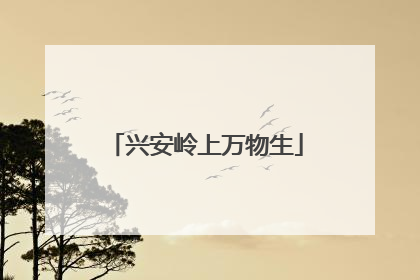 兴安岭上万物生
