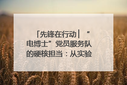先锋在行动 ▏“电博士”党员服务队的硬核担当：从实验室到抗洪一线