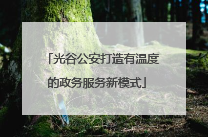 光谷公安打造有温度的政务服务新模式