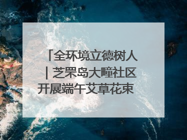 全环境立德树人｜芝罘岛大疃社区开展端午艾草花束DIY活动