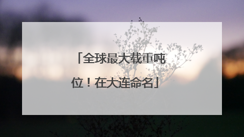 全球最大载重吨位！在大连命名
