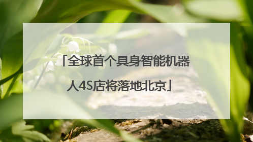 全球首个具身智能机器人4S店将落地北京