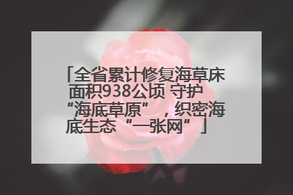 全省累计修复海草床面积938公顷 守护“海底草原”，织密海底生态“一张网”