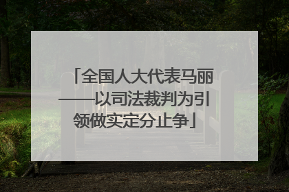 全国人大代表马丽——以司法裁判为引领做实定分止争