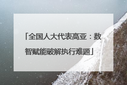 全国人大代表高亚：数智赋能破解执行难题