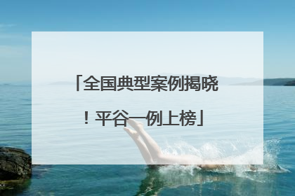 全国典型案例揭晓！平谷一例上榜