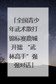 全国青少年武术散打锦标赛鹿城开擂 “武林高手”强强对话