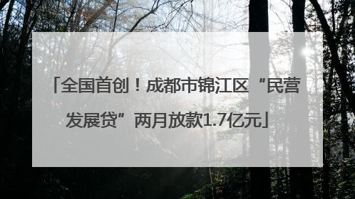 全国首创！成都市锦江区“民营发展贷”两月放款1.7亿元