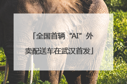 全国首辆“AI”外卖配送车在武汉首发