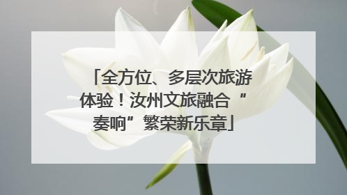 全方位、多层次旅游体验！汝州文旅融合“奏响”繁荣新乐章