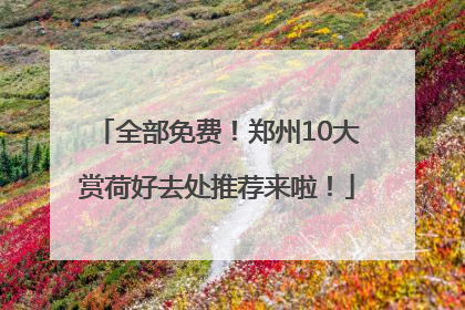全部免费！郑州10大赏荷好去处推荐来啦！