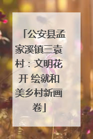 公安县孟家溪镇三袁村：文明花开 绘就和美乡村新画卷