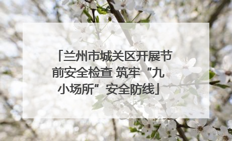 兰州市城关区开展节前安全检查 筑牢“九小场所”安全防线