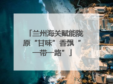 兰州海关赋能陇原“甘味”香飘“一带一路”