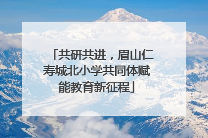 共研共进，眉山仁寿城北小学共同体赋能教育新征程