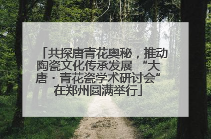 共探唐青花奥秘，推动陶瓷文化传承发展 “大唐・青花瓷学术研讨会”在郑州圆满举行