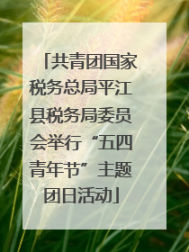 共青团国家税务总局平江县税务局委员会举行“五四青年节”主题团日活动