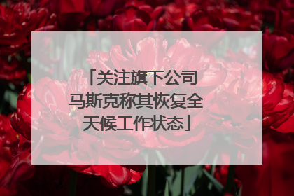 关注旗下公司 马斯克称其恢复全天候工作状态